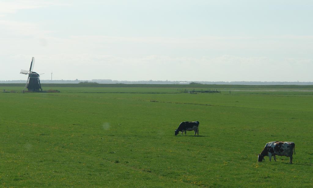 Lyklamastate Nijemirdum Luaran gambar